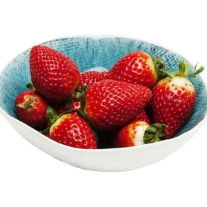 Outlet KARE Design Bowl Mustique Ø17cm