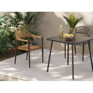 Best KARE Design Chair with Armrest Palma Grey