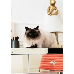 Sale KARE Design Console Luxury Pearl