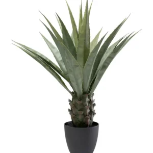 Best KARE Design Deco Plant Agave 85cm