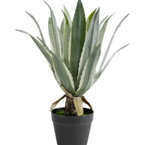 Hot KARE Design Deco Plant Agave 50cm