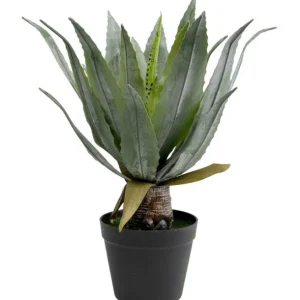 Outlet KARE Design Deco Plant Agave 40cm