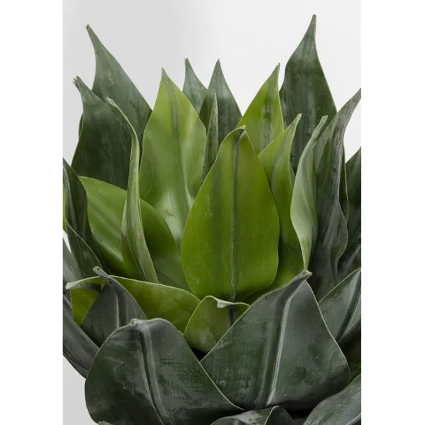 deco_plant_agave_cm_1-2.webp Clearance KARE Design Deco Plant Agave 120cm