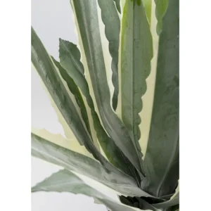 Hot KARE Design Deco Plant Agave 50cm
