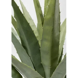 Best KARE Design Deco Plant Agave 85cm