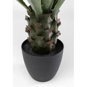Best KARE Design Deco Plant Agave 85cm