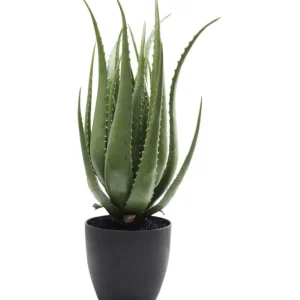 New KARE Design Deco Plant Aloe 69cm