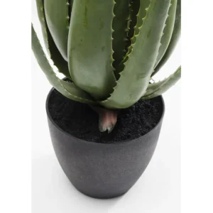 New KARE Design Deco Plant Aloe 69cm