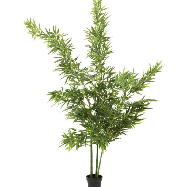 deco_plant_bamboo_tree_cm_0.webp Outlet KARE Design Deco Plant Bamboo Tree 200cm