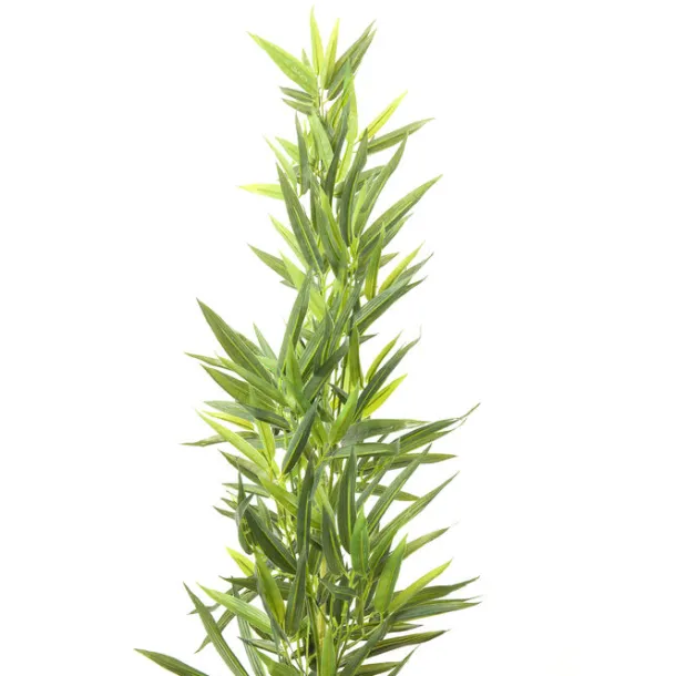 deco_plant_bamboo_tree_cm_2.webp Outlet KARE Design Deco Plant Bamboo Tree 200cm
