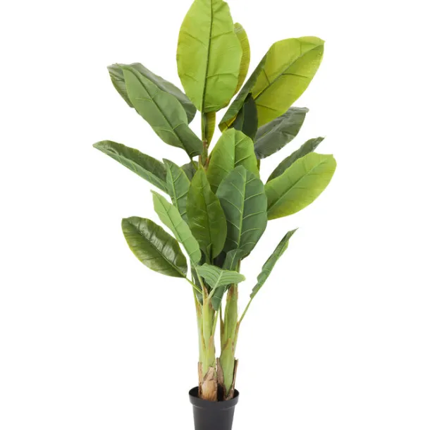 deco_plant_banana_tree_cm_0.webp Outlet KARE Design Deco Plant Banana Tree 180cm