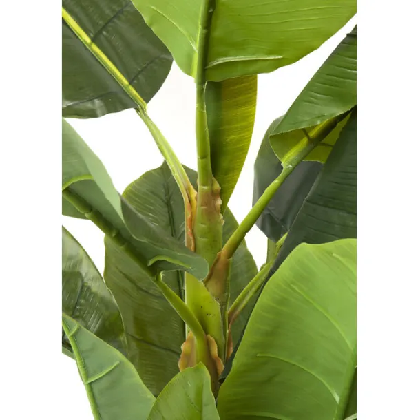 deco_plant_banana_tree_cm_4.webp Outlet KARE Design Deco Plant Banana Tree 180cm