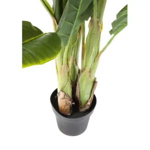 Outlet KARE Design Deco Plant Banana Tree 180cm