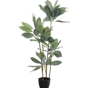 Sale KARE Design Deco Plant Calathea 140cm