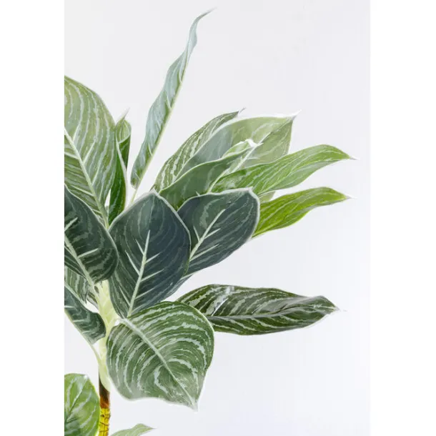 deco_plant_calathea_cm_2.webp Sale KARE Design Deco Plant Calathea 140cm