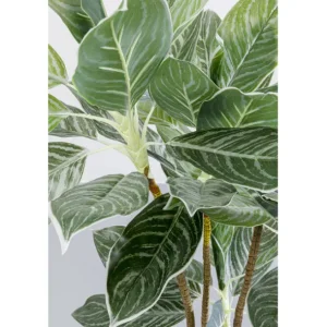 Sale KARE Design Deco Plant Calathea 140cm