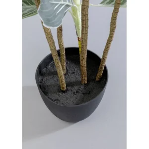 Sale KARE Design Deco Plant Calathea 140cm