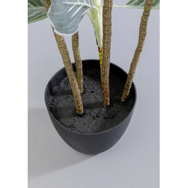 deco_plant_calathea_cm_4.webp Sale KARE Design Deco Plant Calathea 140cm