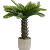 Best KARE Design Deco Plant Cycas 70cm