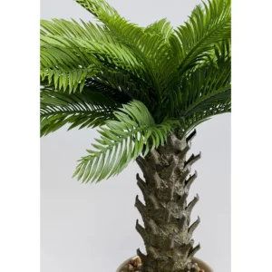 Best KARE Design Deco Plant Cycas 70cm
