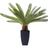 Discount KARE Design Deco Plant Cycas Tree 78cm
