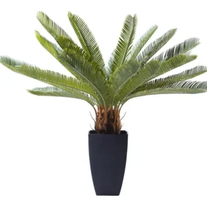 Discount KARE Design Deco Plant Cycas Tree 78cm