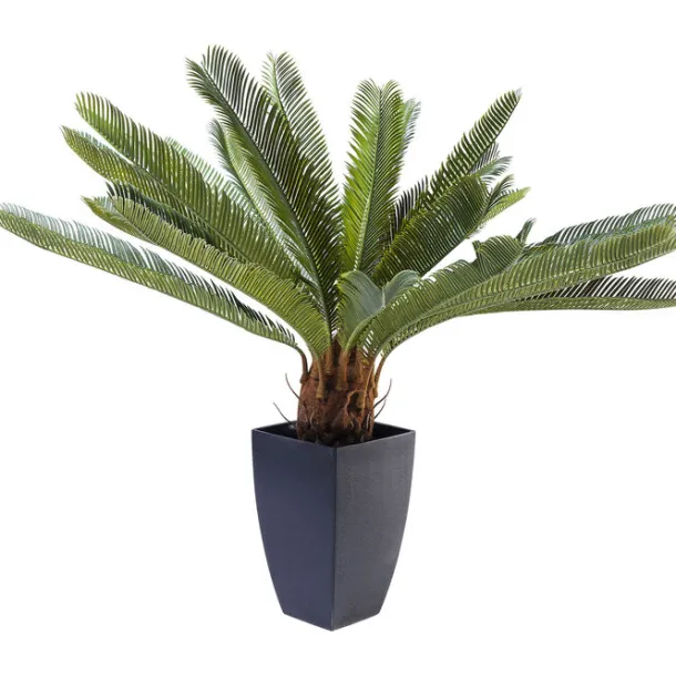 deco_plant_cycas_tree_cm_2.webp Discount KARE Design Deco Plant Cycas Tree 78cm