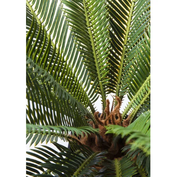 deco_plant_cycas_tree_cm_5.webp Discount KARE Design Deco Plant Cycas Tree 78cm