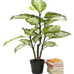 Fashion KARE Design Deco Plant Dieffenbachie 100cm