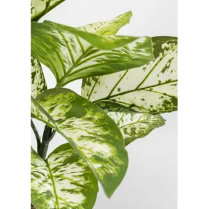 Fashion KARE Design Deco Plant Dieffenbachie 100cm