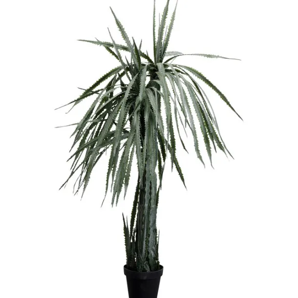 deco_plant_dragon_tree_cm_0.webp New KARE Design Deco Plant Dragon Tree 155cm