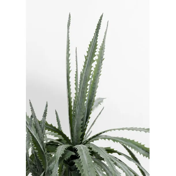deco_plant_dragon_tree_cm_1.webp New KARE Design Deco Plant Dragon Tree 155cm