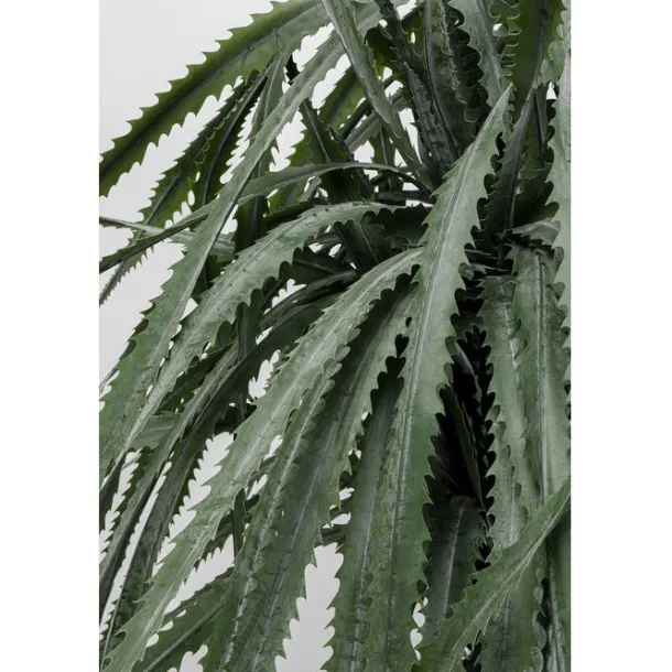 deco_plant_dragon_tree_cm_2.webp New KARE Design Deco Plant Dragon Tree 155cm