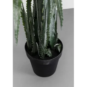 New KARE Design Deco Plant Dragon Tree 155cm