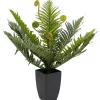 Online KARE Design Deco Plant Farn 55cm