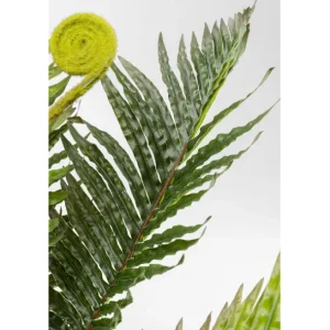 Online KARE Design Deco Plant Farn 55cm