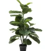 Discount KARE Design Deco Plant Fiddle Leaf 120cm