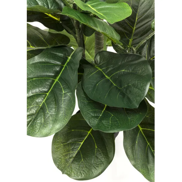 deco_plant_fiddle_leaf_cm_4.webp Discount KARE Design Deco Plant Fiddle Leaf 120cm