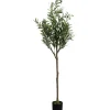 Discount KARE Design Deco Plant Olive Tree 150cm