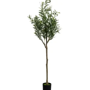 Discount KARE Design Deco Plant Olive Tree 150cm