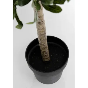 New KARE Design Deco Plant Olive Tree 120cm
