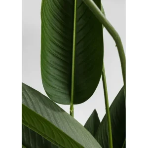 New KARE Design Deco Plant Paradise Flowers 190cm