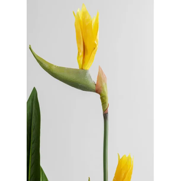deco_plant_paradise_flowe_6.webp New KARE Design Deco Plant Paradise Flowers 190cm