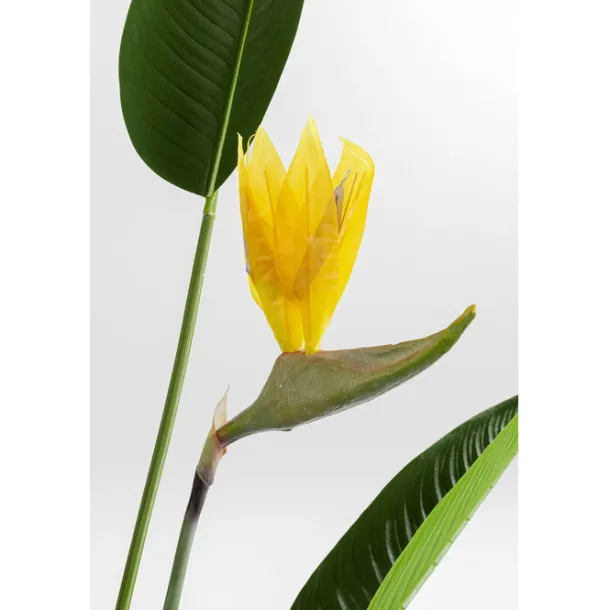 deco_plant_paradise_flowe_7.webp New KARE Design Deco Plant Paradise Flowers 190cm