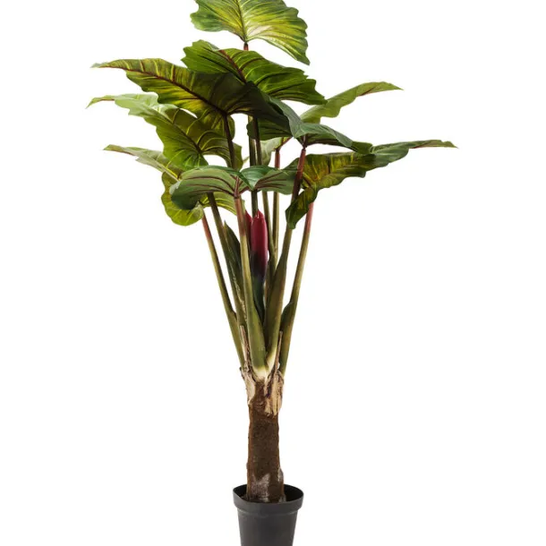 deco_plant_rainforest_gre_0.webp Fashion KARE Design Deco Plant Rainforest Green 160cm
