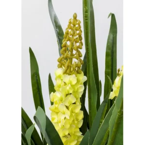 Discount KARE Design Deco Plant Rhynchostylis 150cm