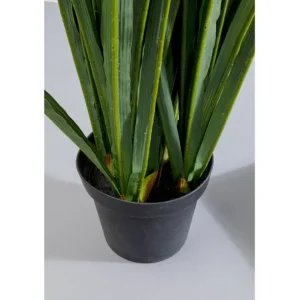Discount KARE Design Deco Plant Rhynchostylis 150cm