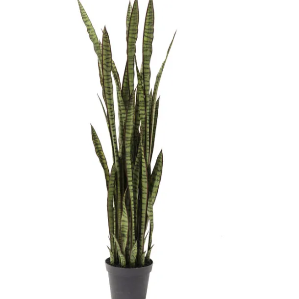 deco_plant_sansewieria_cm_0.webp Clearance KARE Design Deco Plant Sansewieria 155cm