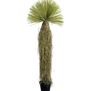 Outlet KARE Design Deco Plant Yucca 180cm