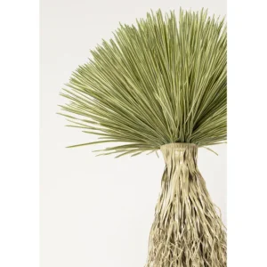 Online KARE Design Deco Plant Yucca Rostrata 240cm